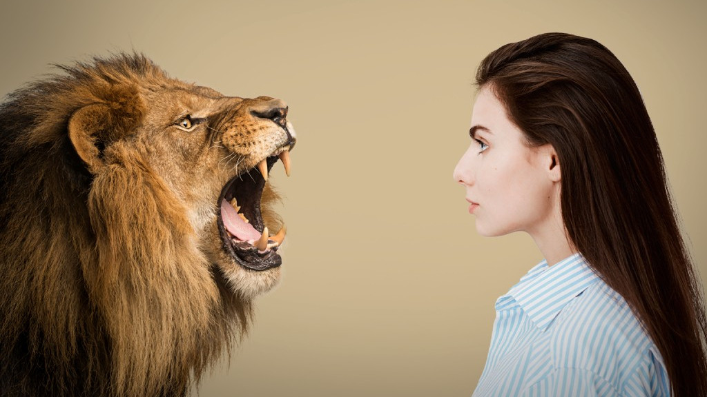 Perfis comportamentais: conheça o seu e use-o a seu favor