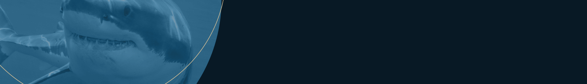 Líder Shark